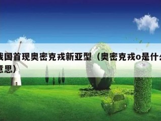 我国首现奥密克戎新亚型（奥密克戎o是什么意思）