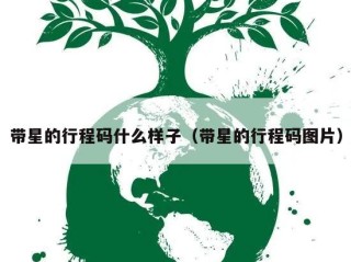 带星的行程码什么样子（带星的行程码图片）