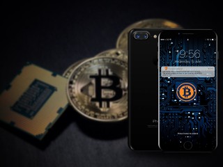 988PAY钱包V89.85.173.137(官方)最新IOS-安卓版-手机APP下载