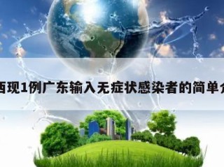 陕西现1例广东输入无症状感染者的简单介绍