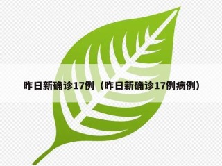 昨日新确诊17例（昨日新确诊17例病例）